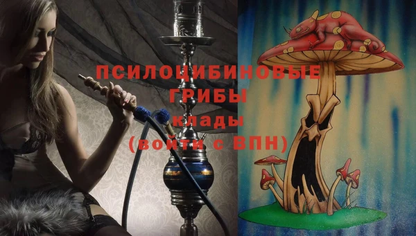 spice Яранск