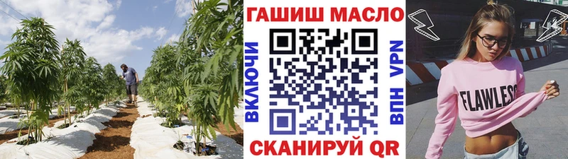 OMG онион  Электросталь  Дистиллят ТГК вейп  где продают наркотики 