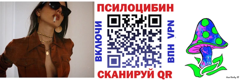 закладки  Электросталь  Галлюциногенные грибы MAGIC MUSHROOMS 