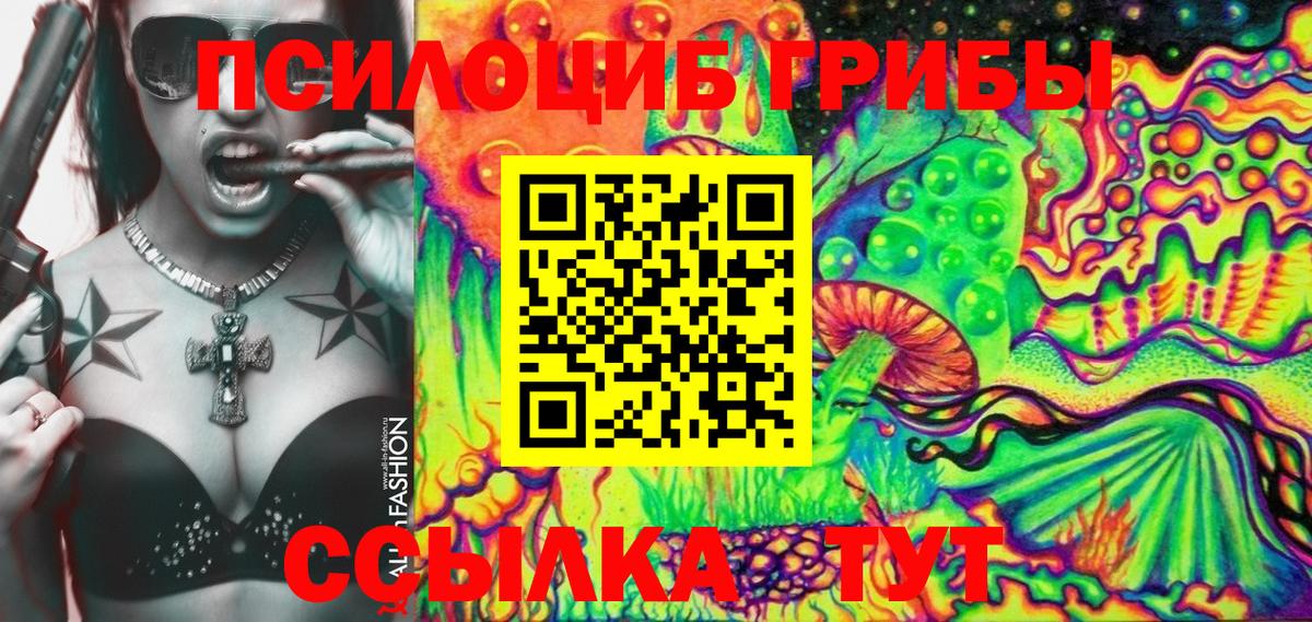 Псилоцибиновые грибы мухоморы  где можно купить   Электросталь  Галлюциногенные грибы мицелий 