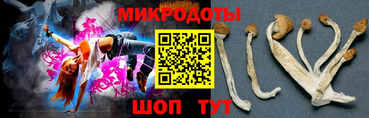Электросталь  Псилоцибиновые грибы GOLDEN TEACHER  Вход с VPN 